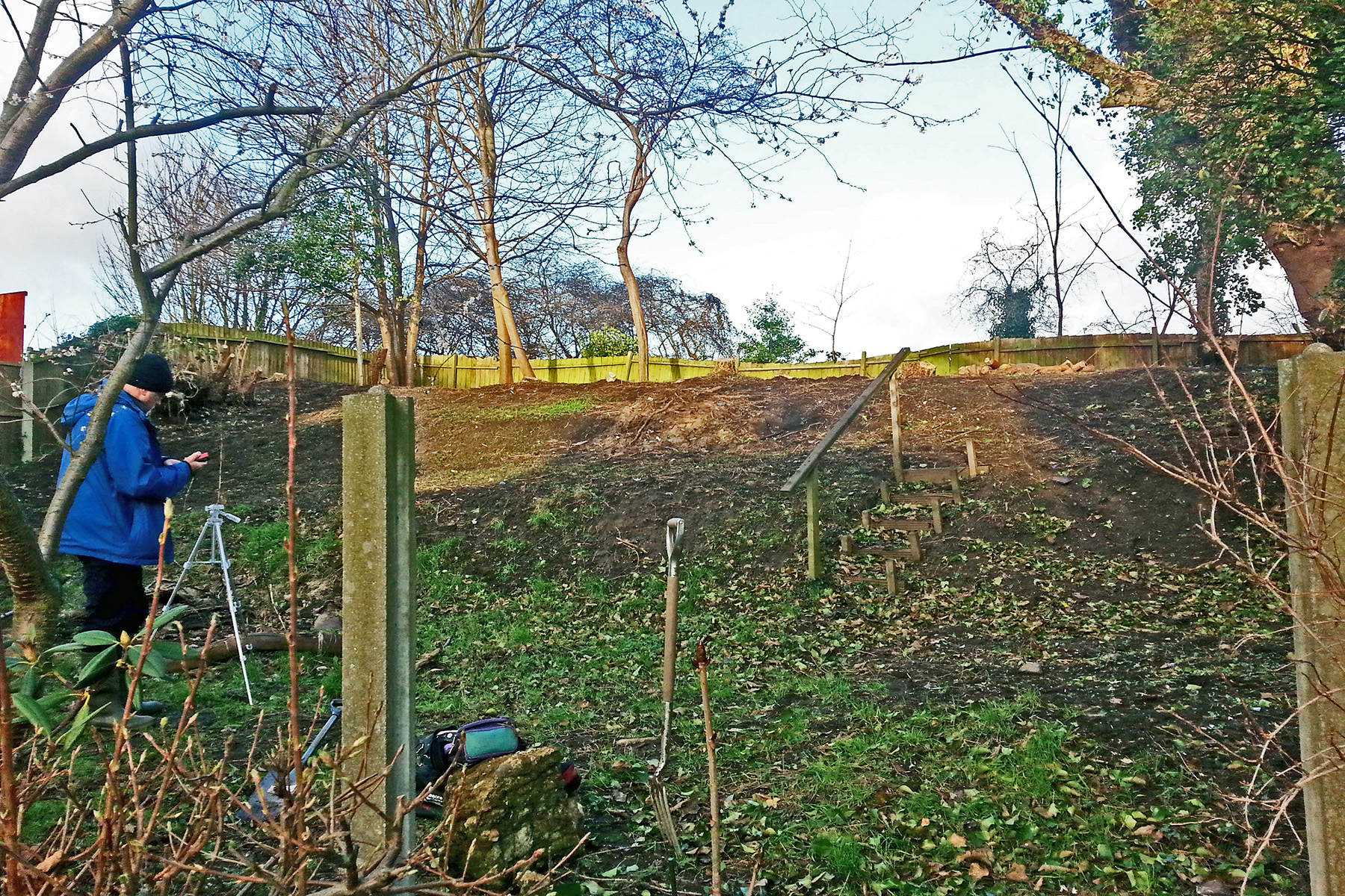 Wildlife-Friendly Garden - before