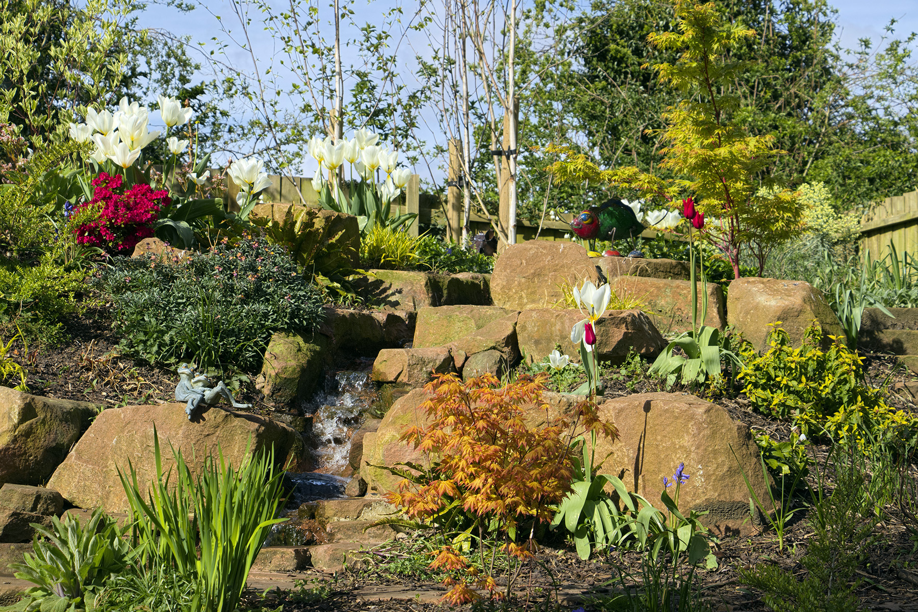 Wildlife-Friendly Garden - after 2